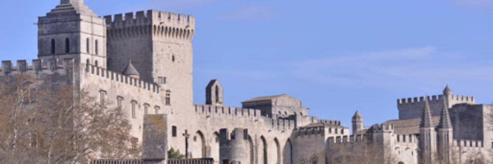 Le palais des papes d'avigon